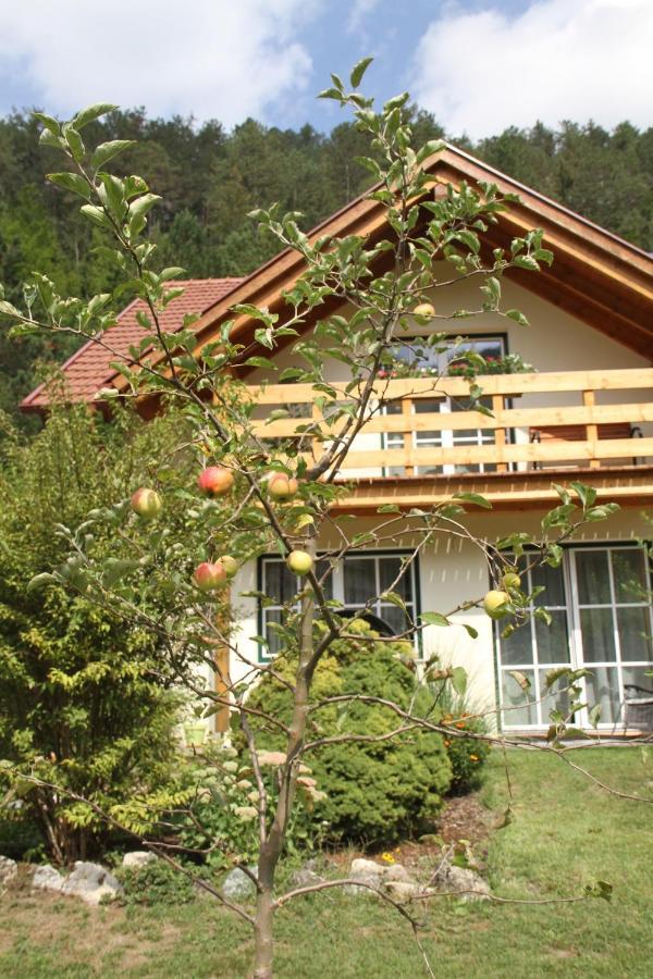 Ferienwohnung Purbach Muggendorf  Kültér fotó